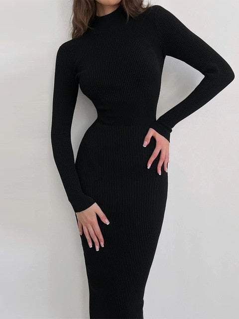 Xyrisa Kleid mit Rollkragen