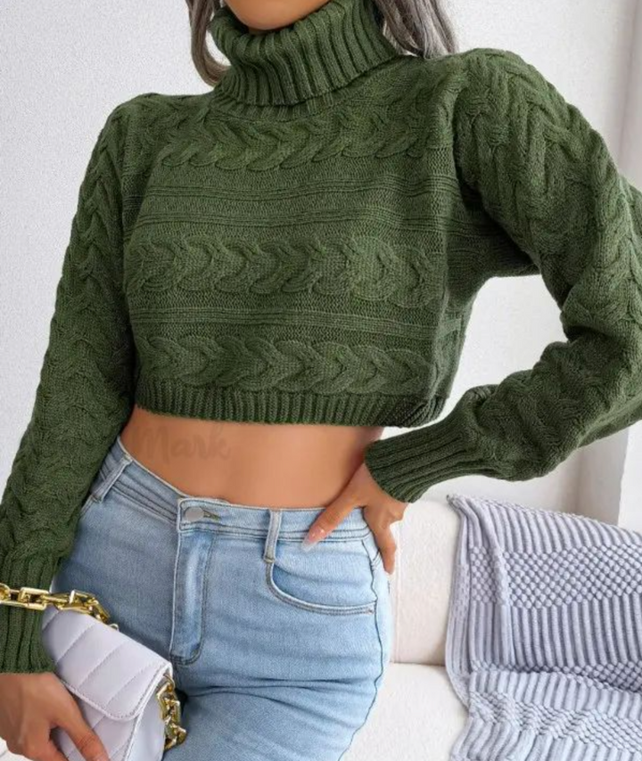 Crop Top Rollkragenpullover